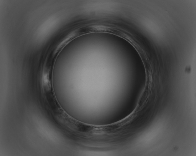 X0000091451198200708301803