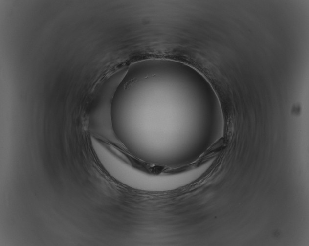 X0000091451202200708301803