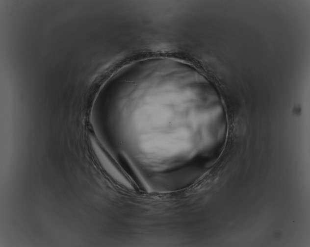 X0000091451205200708301803