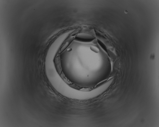 X0000091451206200708301803