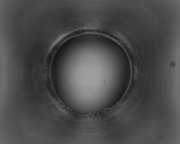 X0000091451208200708301803