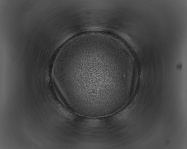 X0000091451209200708301803