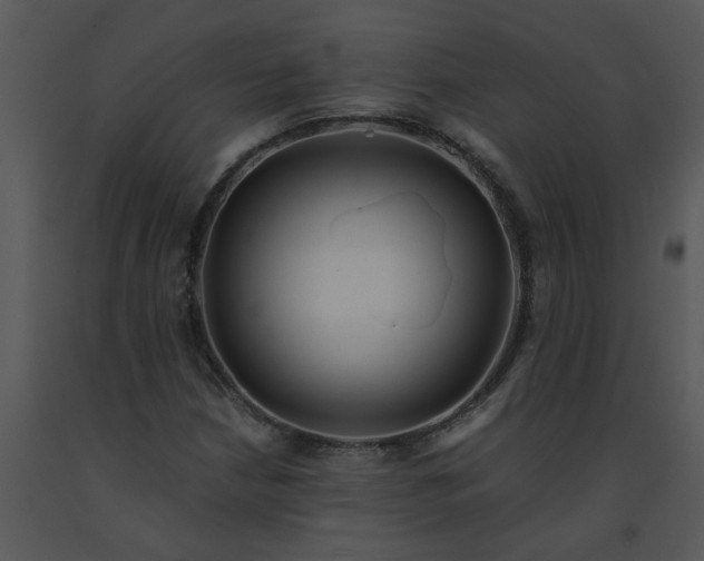 X0000091451210200708301803