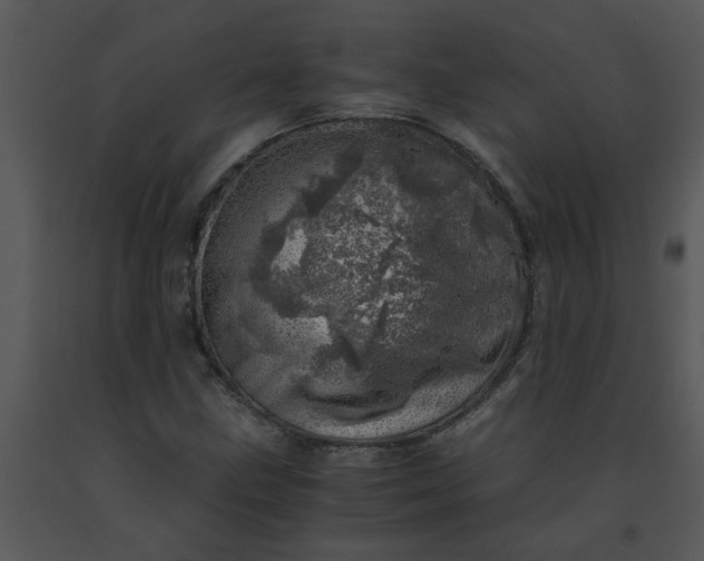 X0000091451211200708301803