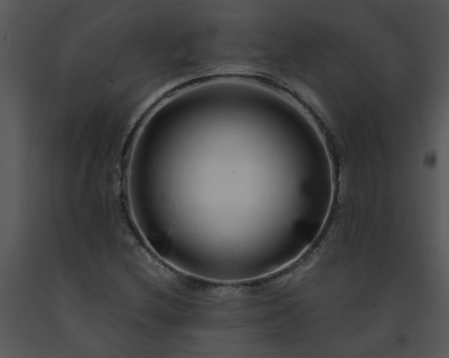 X0000091451212200708301803