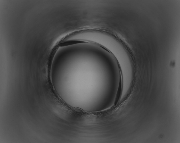 X0000091451214200708301803