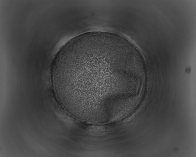 X0000091451215200708301803