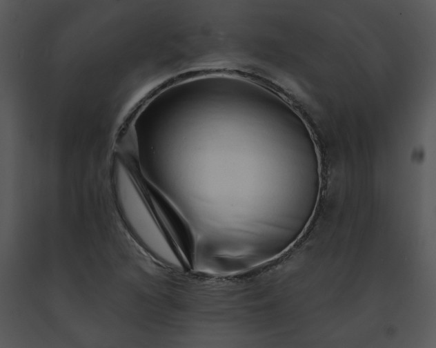X0000091451216200708301803