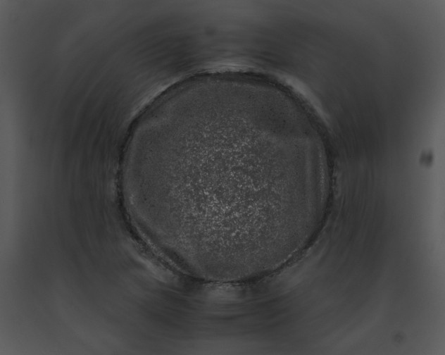 X0000091451217200708301803