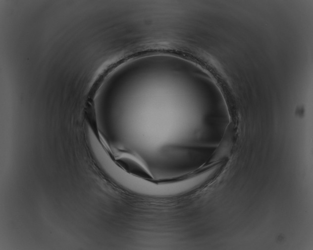 X0000091451218200708301803
