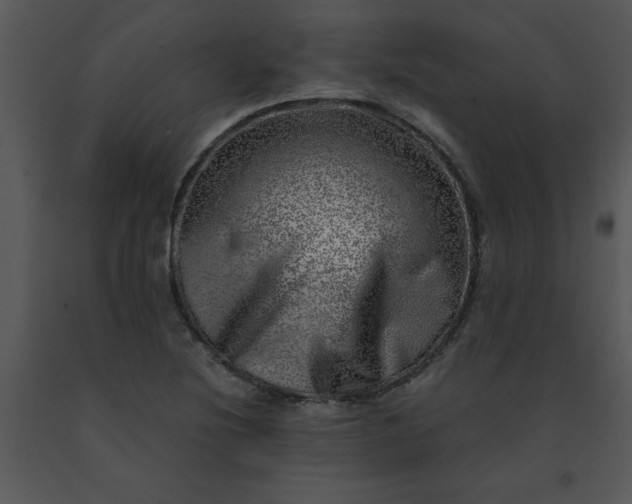 X0000091451220200708301803