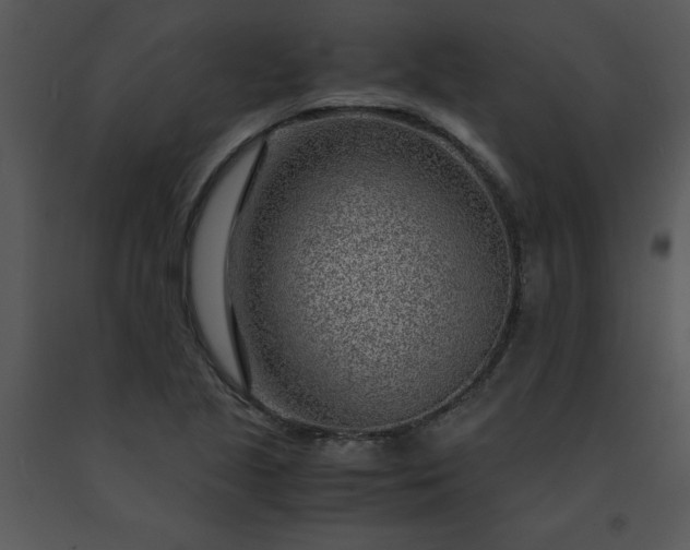 X0000091451221200708301803