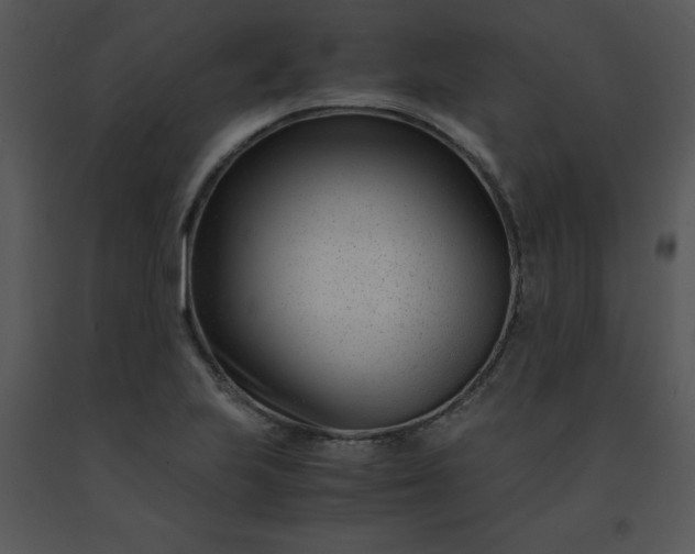 X0000091451223200708301803
