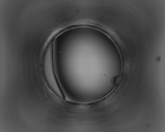 X0000091451224200708301803