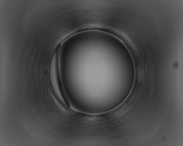 X0000091451225200708301803