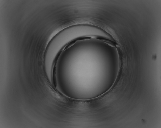 X0000091451226200708301803