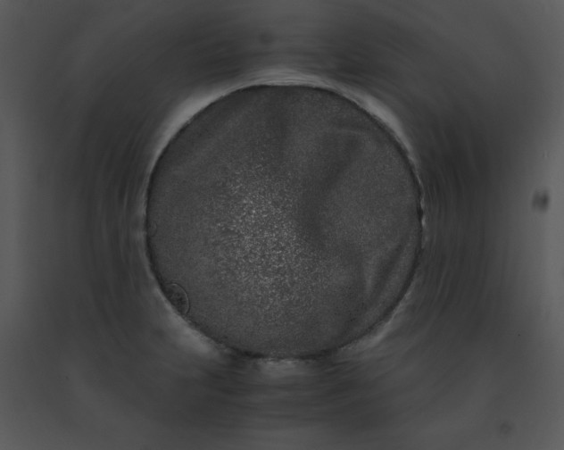 X0000091451231200708301803