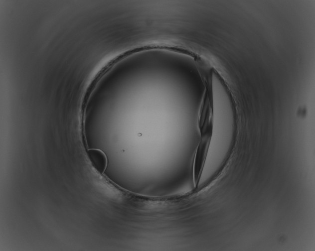 X0000091451232200708301803
