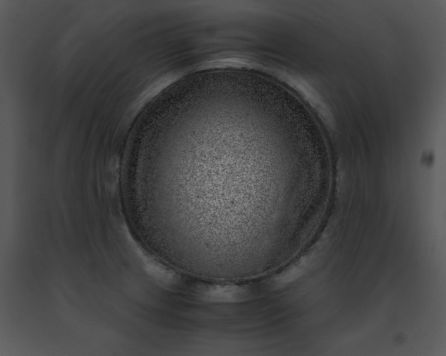 X0000091451233200708301803