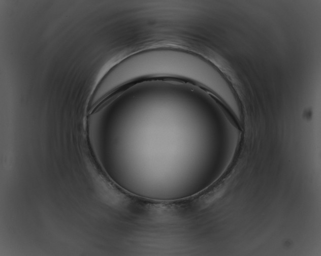 X0000091451234200708301803