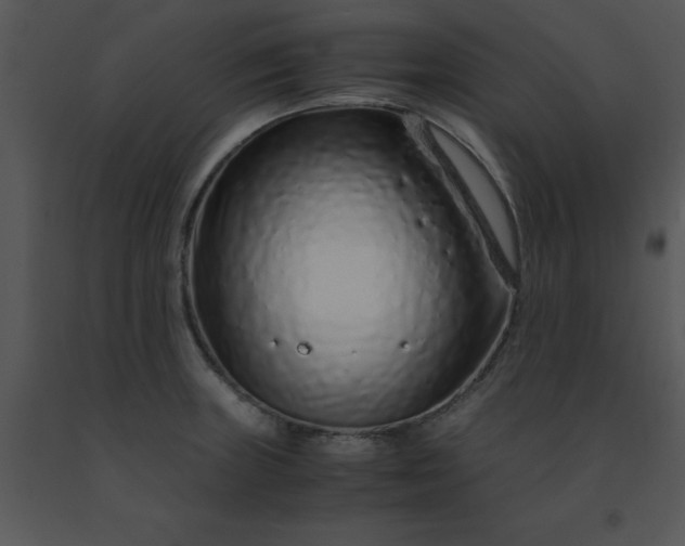 X0000091451235200708301803