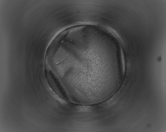 X0000091451236200708301803
