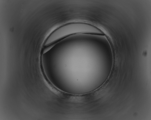 X0000091451237200708301803