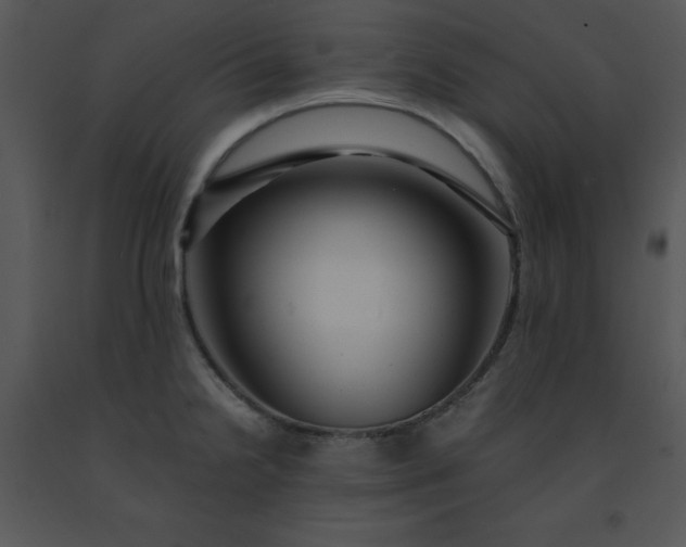 X0000091451238200708301803