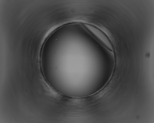 X0000091451240200708301803