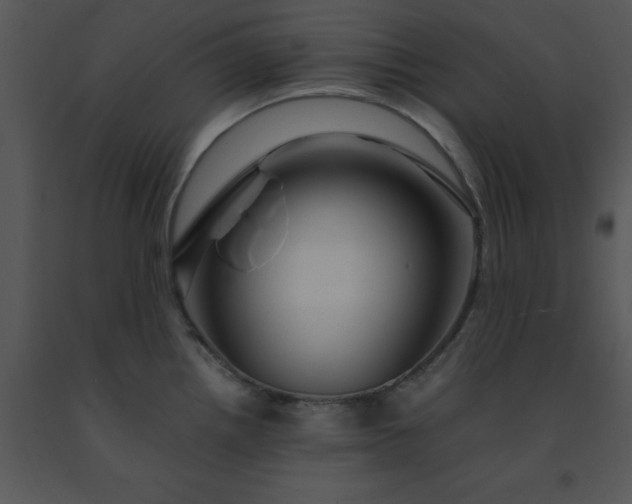 X0000091451242200708301803