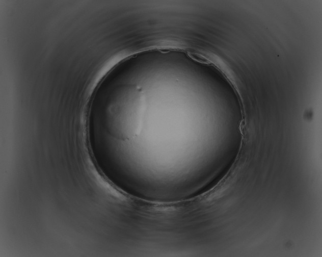 X0000091451243200708301803