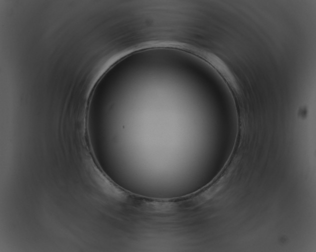 X0000091451244200708301803