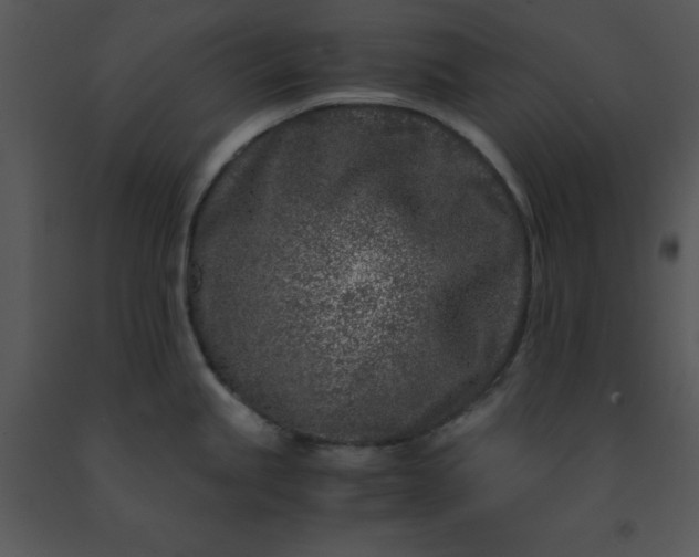 X0000091451245200708301803