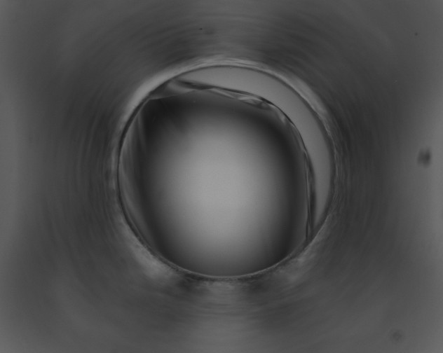 X0000091451246200708301803