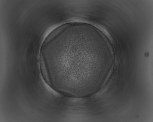 X0000091451247200708301803