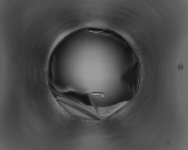 X0000091451248200708301803