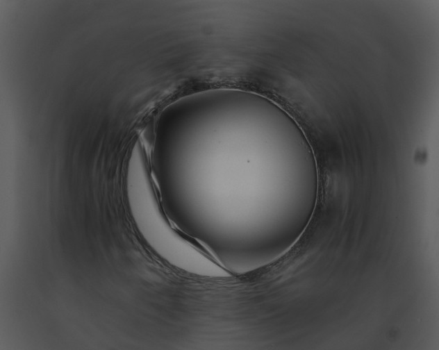 X0000091451250200708301803