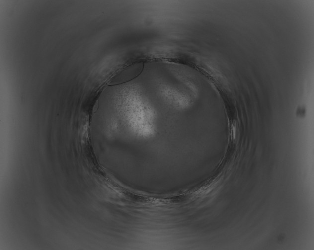 X0000091451251200708301803