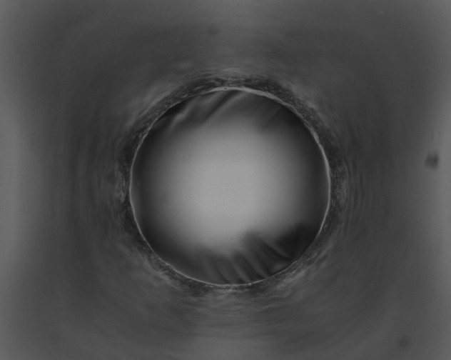 X0000091451253200708301803
