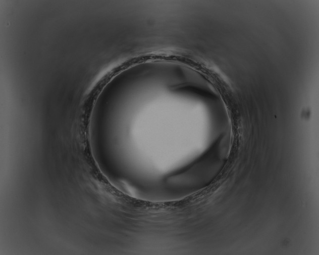 X0000091451256200708301803
