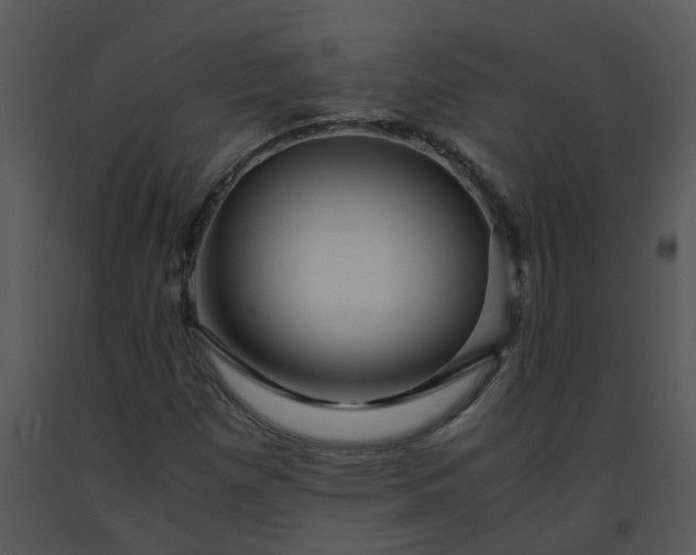 X0000091451257200708301803
