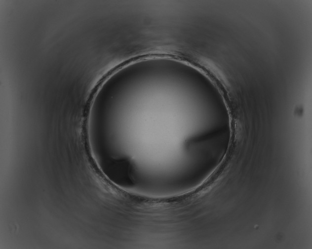 X0000091451260200708301803