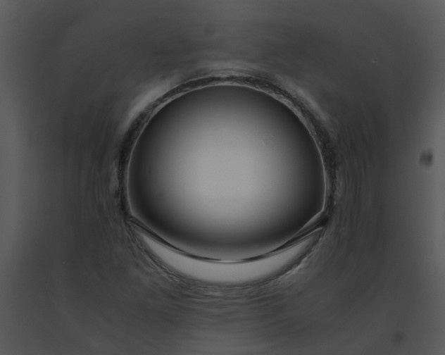 X0000091451261200708301803