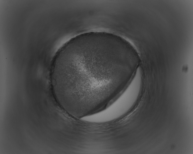 X0000091451263200708301803
