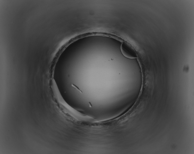 X0000091451264200708301803