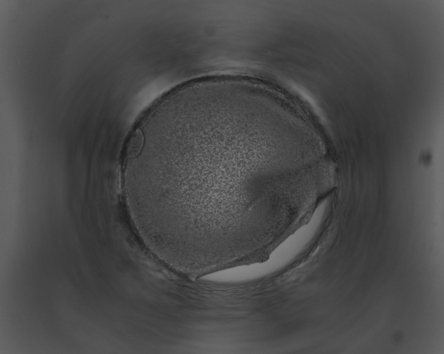 X0000091451267200708301803