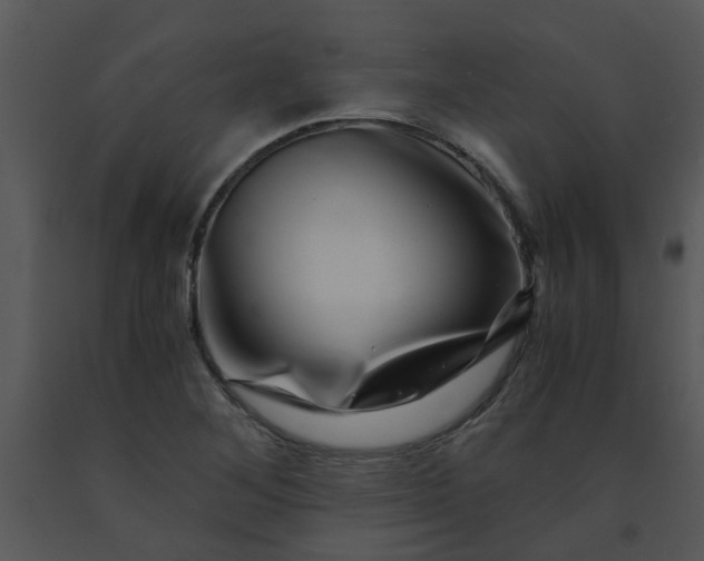 X0000091451268200708301803