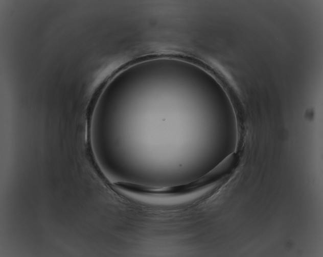 X0000091451269200708301803
