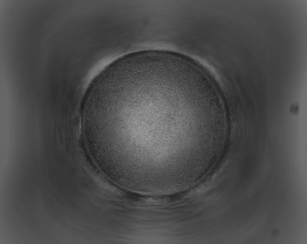 X0000091451271200708301802