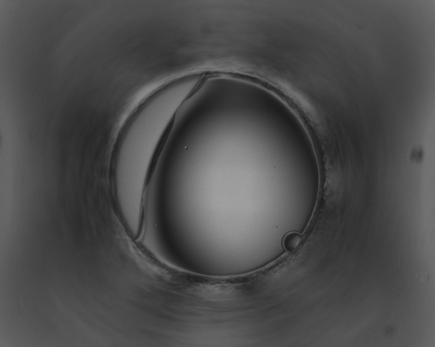 X0000091451272200708301802